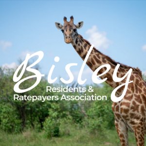 Bisley RRA